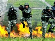 Bóng đá anh, ngoại hạng anh, lịch thi đấu euro 2012, Việt Nam đề xuất các biện pháp chống khủng bố